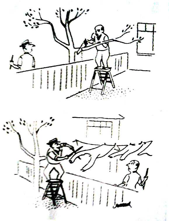 热播漫画3